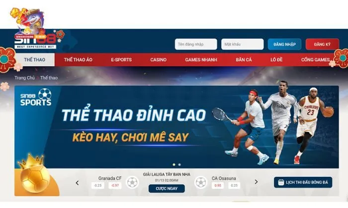trang cá cược bóng đá Đội ngũ chuyên gia phân tích thể thao giàu kinh nghiệm luôn đồng hành cùng bạn
